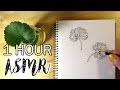 ASMR One Hour of Pencil Drawing - No Talking