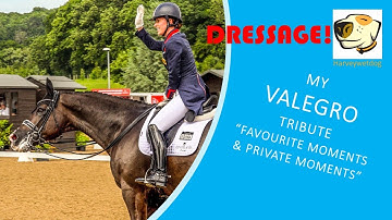 My Valegro Tribute #RIPValegro❤️🤍💙 #valegro #dressage 