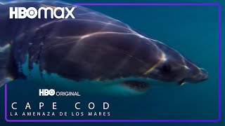Cabo Cod: La amenaza de los mares | Tráiler oficial | HBO Max
