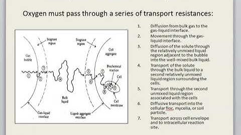 CHE505 Topic 5-Bioreactor Part 1_VIDEO LECTURE 12