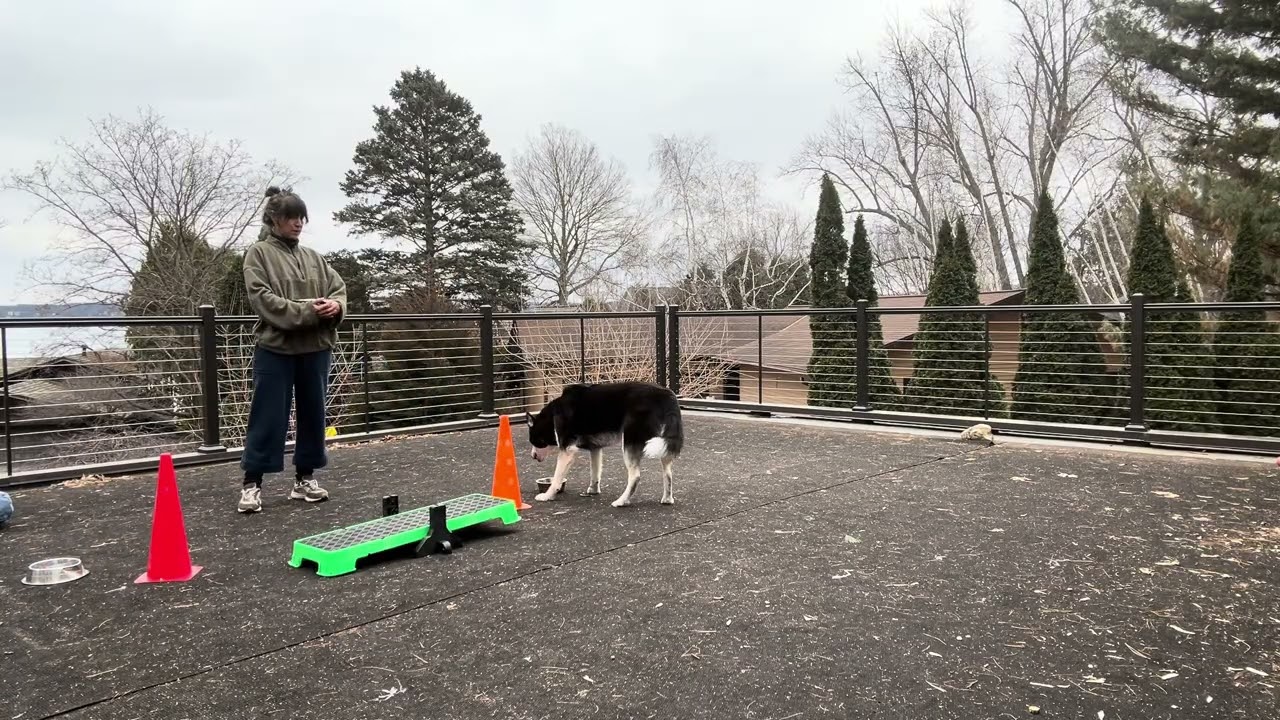 Movement Puzzles Certification 1 Exercise 2 