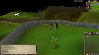 Draconic Visage Drop 54th KC