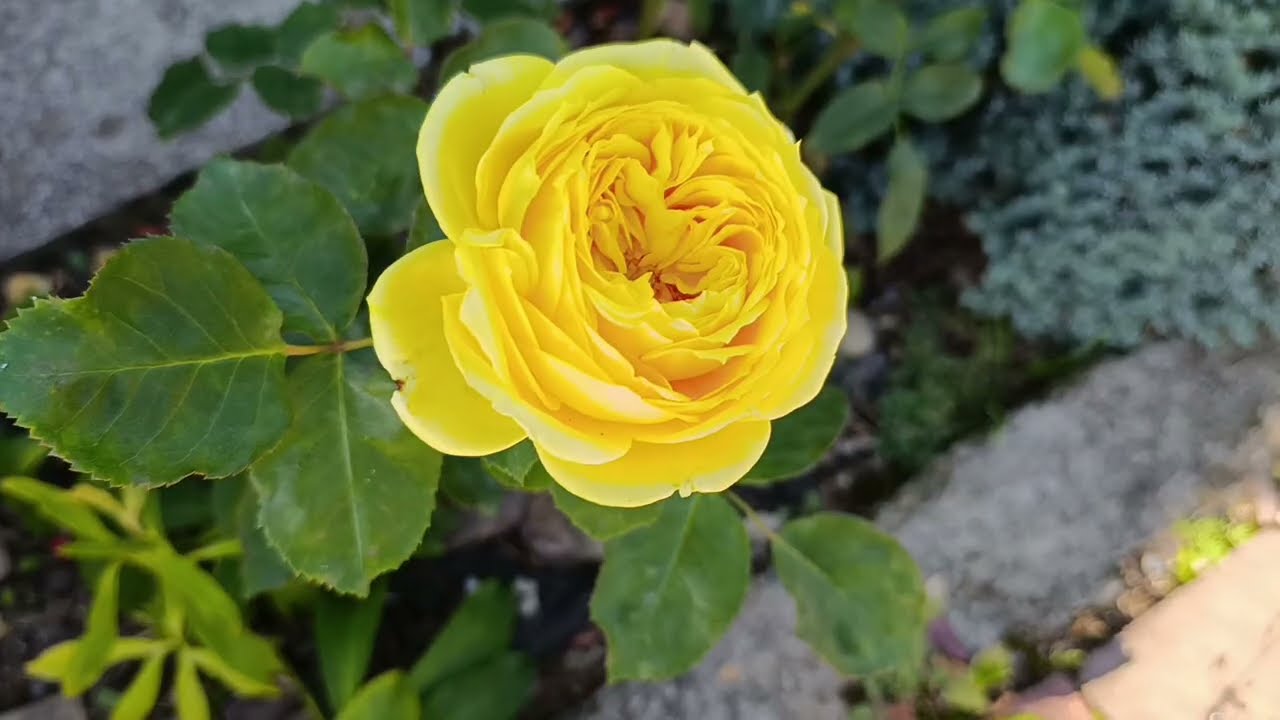 @NestorkaOlenkivna Останні кольори вересня