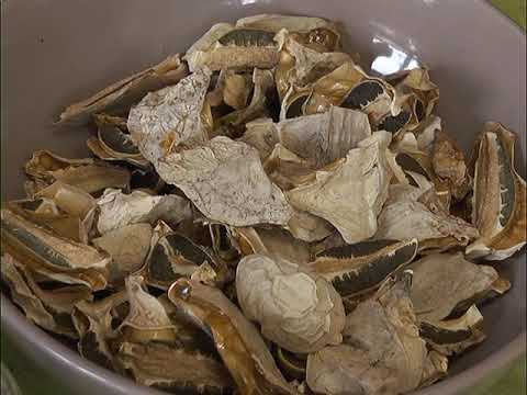 Ранок-панок. Марія Пахолок. Розмова про гриби