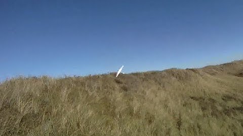 Close call. Dynamic soaring