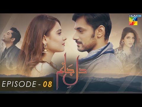 Dil-e-Jaanam — Episode 8