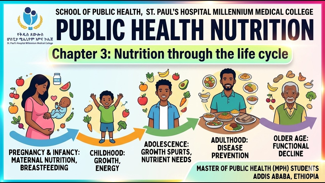 Public Health Nutrition Lecture: Chapter 3: Nutrition through the life ...