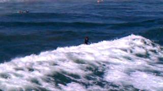 High Tide HB Surfing.