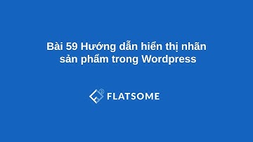 Bài 59 Hướng dẫn hiển thị nhãn sản phẩm trong Wordpress