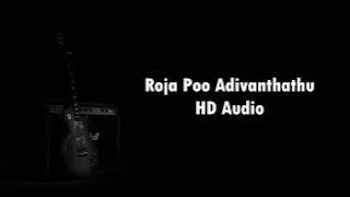 Roja Poo Aadivanthathu | Remastered Song | Ilayaraja | 5.1 | Isai Petti