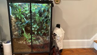 Ikea Rudsta Plant Cabinet, Overview And 1 Year Update
