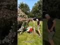 Man Turns Fallen Tree Into Magic#shortsvideo