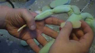 Building a Stop Motion Monster: Padding the Body