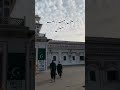 ڈھلتی شام ملتان کینٹ ریلوے اسٹیشن کے نام #railway #pakrailwayvlog