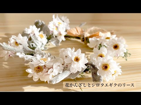 花かんざしとシロタエギクのリース【ドライフラワー】【リース