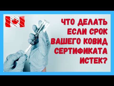 Видео: Следует ли удалять сертификаты с истекшим сроком действия?