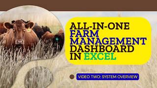 Complete Farm Accounting System in Excel (Step-by-Step Overview for Beginners)