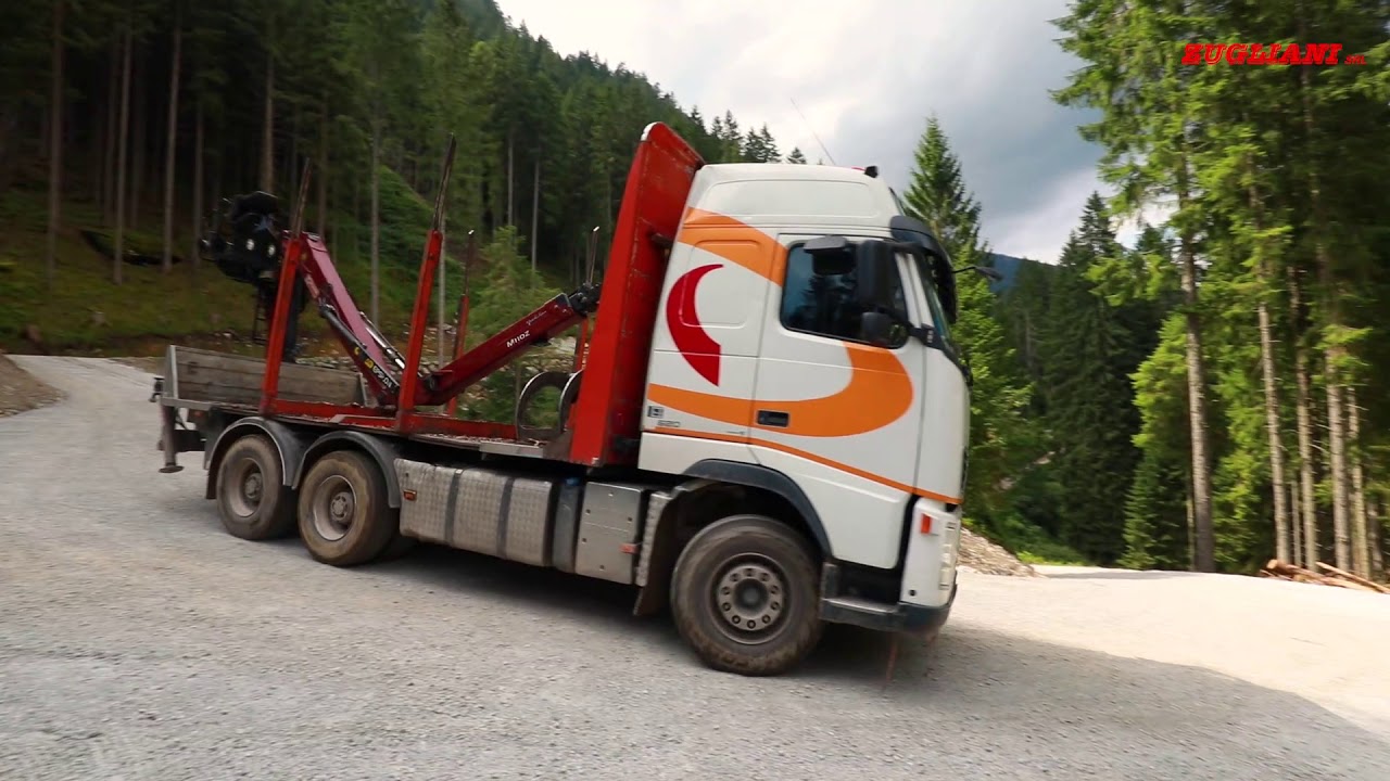 REALIZZAZIONE STRADA FORESTALE