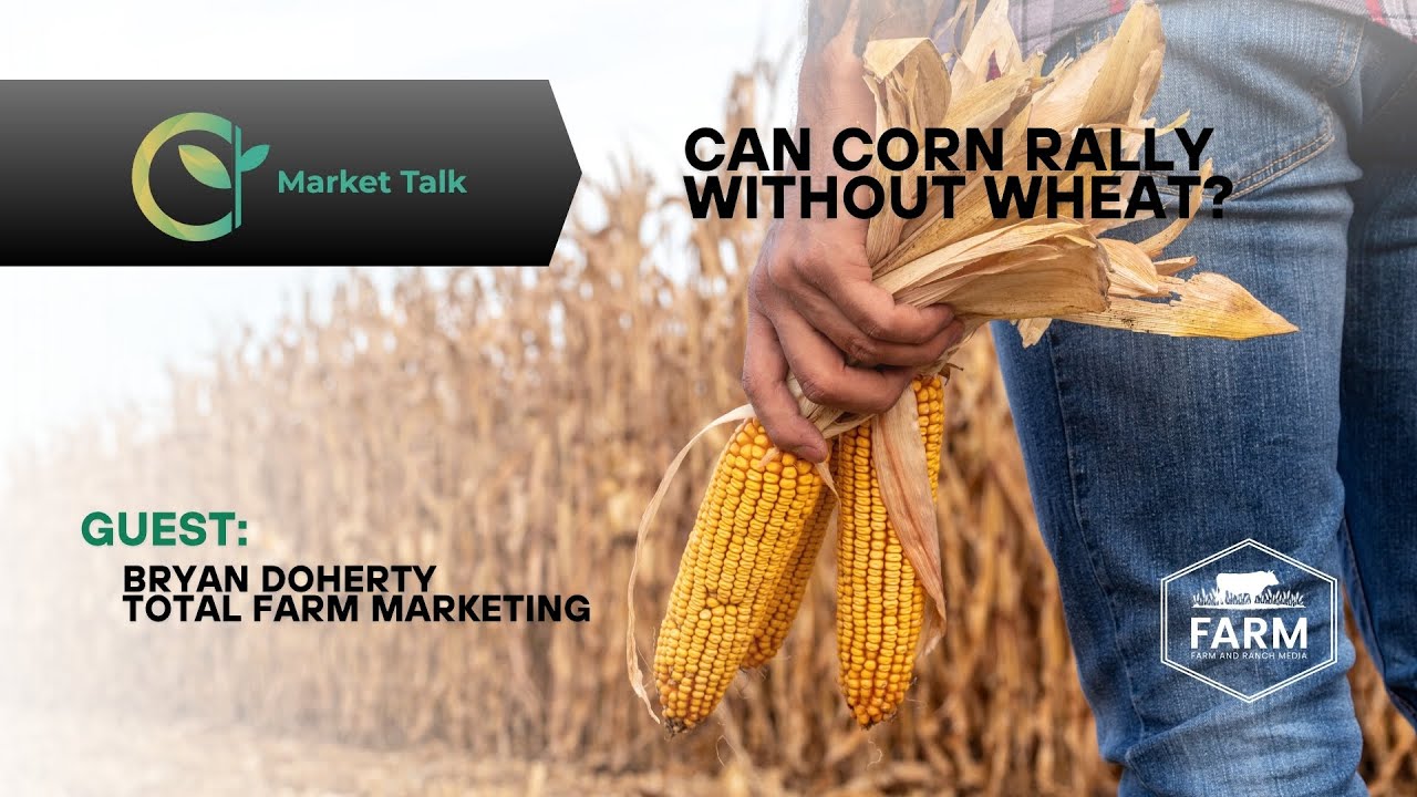 Can Corn Rally Without Wheat? Can Corn Rally Without Wheat?