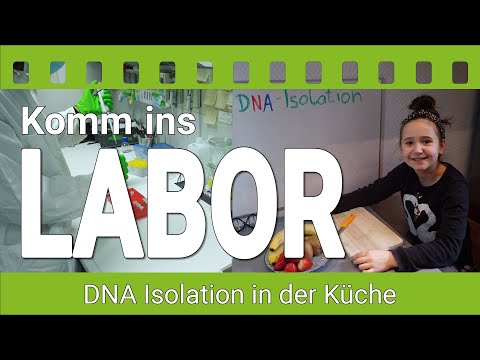 Come into the lab! DNA isolation in the kitchen