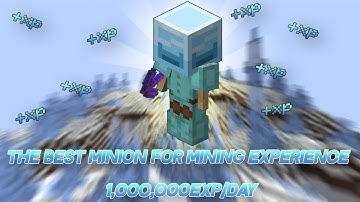 This Minion makes 1,000,000 Mining EXP per Day! (Hypixel Skyblock)