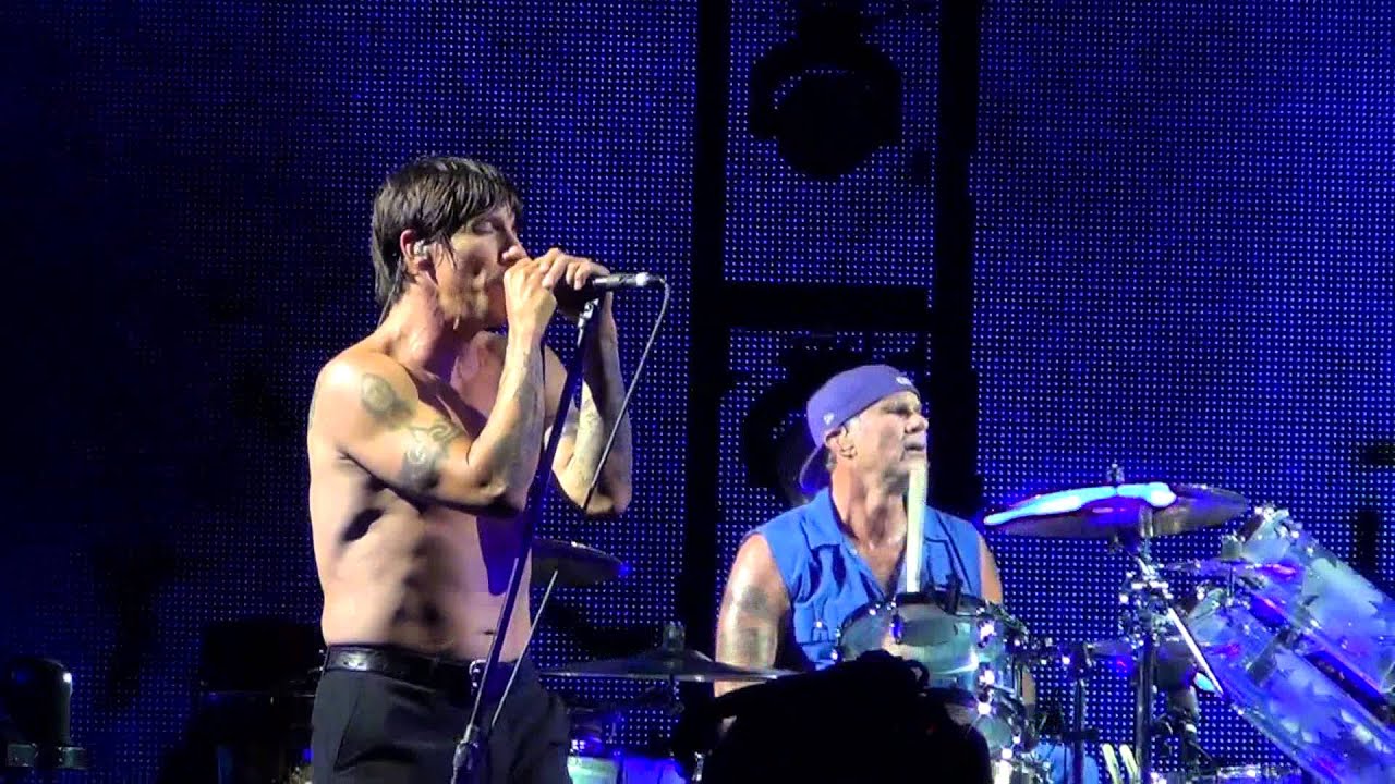 RED HOT CHILI PEPPERS THE ADVENTURES OF RAIN DANCE MAGGIE MUSIC