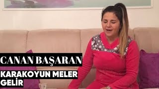 Canan Başaran - Karakoyun Meler Gelir (Canlı Performans) Resimi