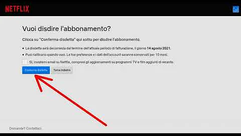 Quanto costa Netflix anno?
