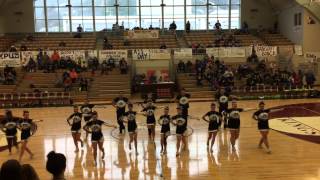 PHS Cheer 2015 Judging Game