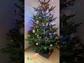 🎄 Tannenbaum #германия #рождествовгермании #жизньвгермании  #tannenbaum #рождество