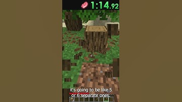 Speedrunning Items 1