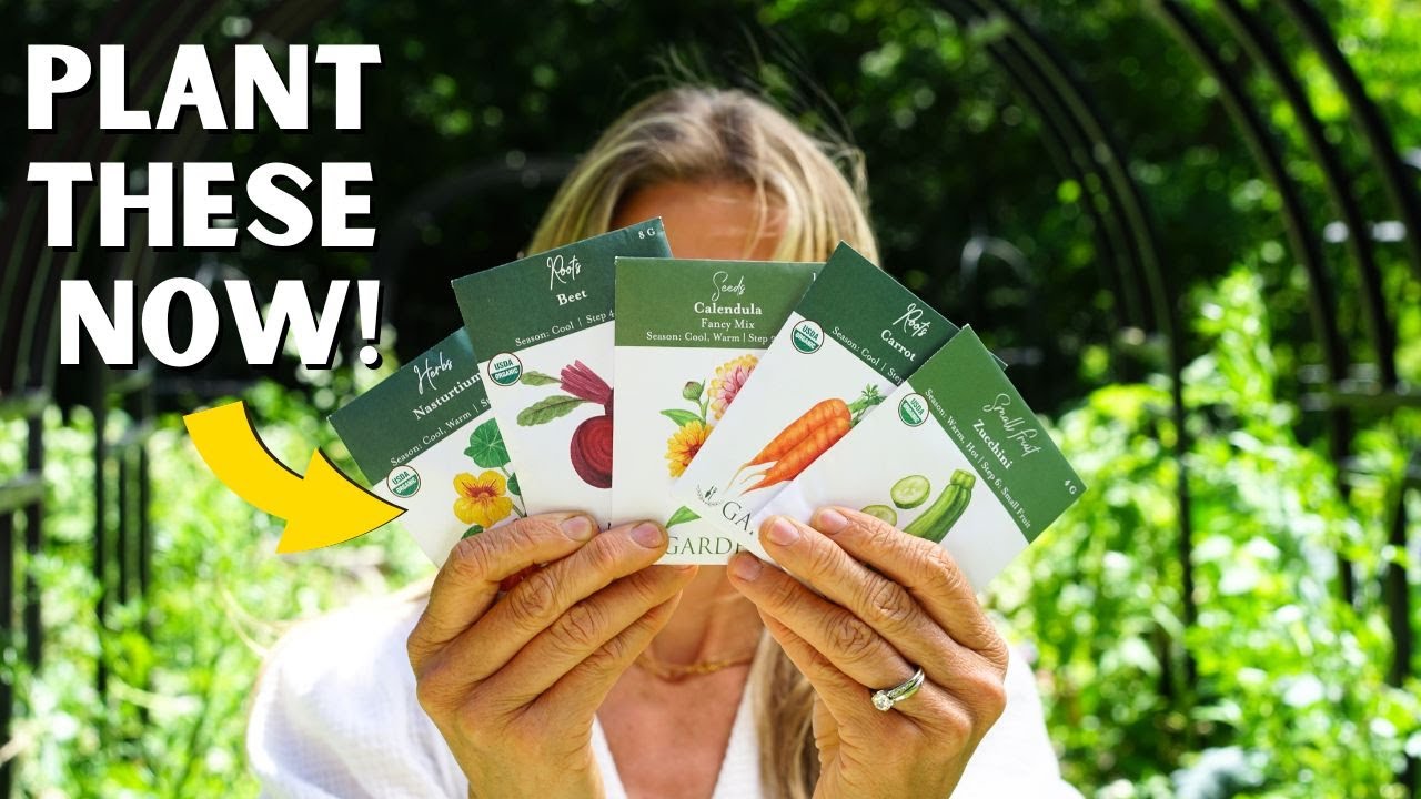 5 Seeds I Plant Every August