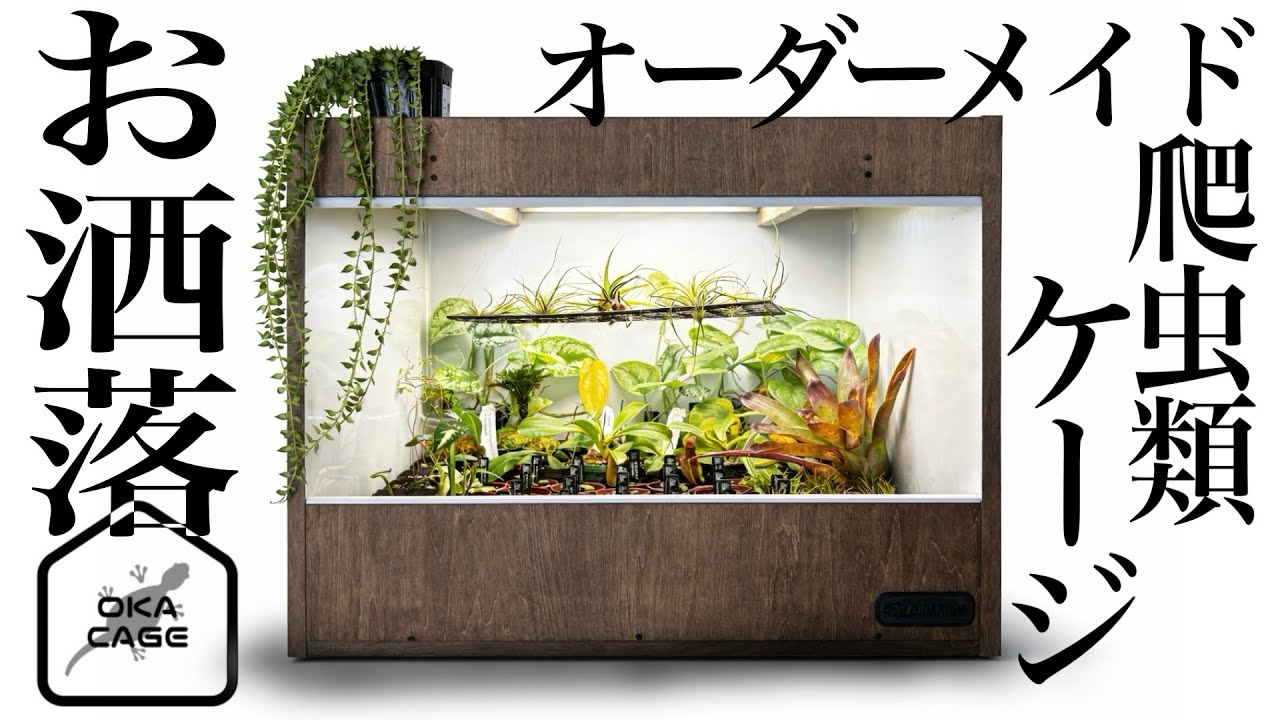 OKACAGE] We made our first order for a stylish wooden reptile cage