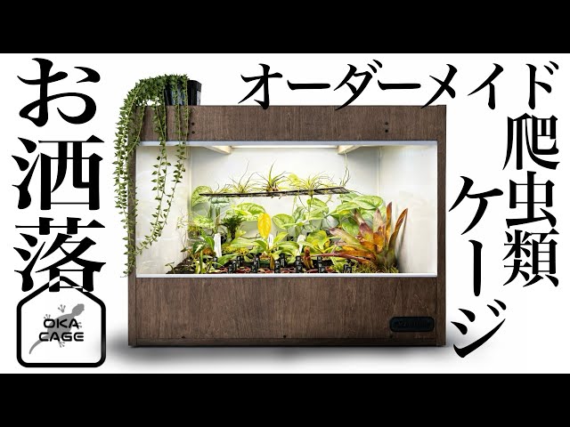 OKACAGE] We made our first order for a stylish wooden reptile cage