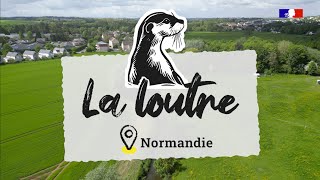 Biodiversité, territoires engagés : le retour de la loutre en Normandie