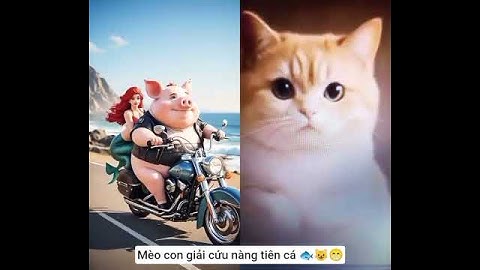 Mèo con giải cứu nàng tiên cá 🐟😺😁P2#kitten #cat #funny #shortvideo #cute #animals