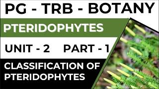 UNIT -2 - CLASSIFICATION OF PTERIDOPHYTES - PART - 1