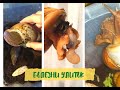 😥УЛИТКА УШЛА В ЗАВИТОК🐌ВЫПАДЕНИЕ И ГИБЕЛЬ УЛИТКИ🐚 КАК ЛЕЧИТЬ УЛИТКУ🚑 РУБРИКА ВОПРОСЫ И ОТВЕТЫ⁉️