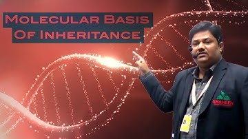 Molecular Basis Of Inheritance L6 by Nadeem Sir