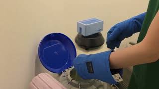 Embryo Freezing