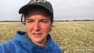 N Field Observations: Alfalfa Green-up