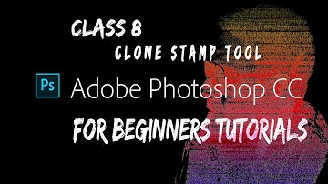 Photoshop for Beginners -  Class 8 -  Clone Stamp Tool