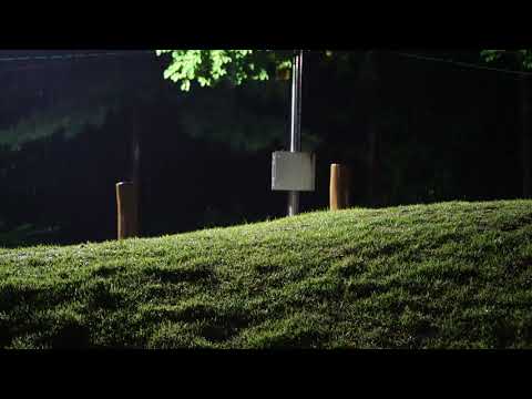[빗소리] 녹음이 짙은 잔디 언덕에 한밤중에 내리는 비. rain on the green grass hill