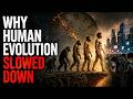🌙 Why Human Evolution Slowed Down | Sleep, Relaxation &amp; Study Ambience