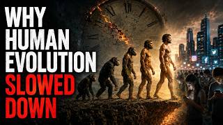 🌙 Why Human Evolution Slowed Down | Sleep, Relaxation & Study Ambience