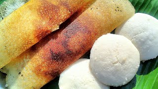 Soft Idli and crispy Dosa recipe in Tamil with eng subtitle/Perfect batter for soft idli,crispy dosa