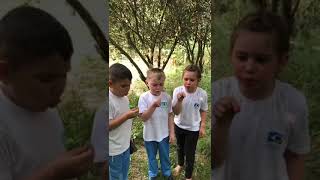 13 de setembro de 2024