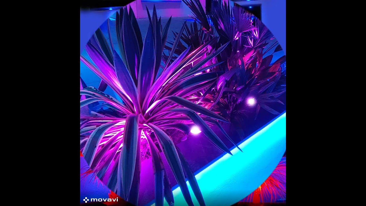 Outdoor LED Garden Smart lighting RGBCCT 