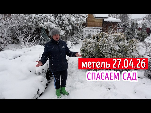 И зачем мы только всё раскрыли? Опять всё сгорело, да ещё и замело! СПАСАЕМ САД!