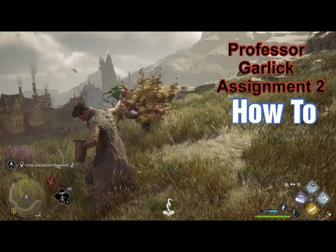 how to pass professor garlicks assignment 2